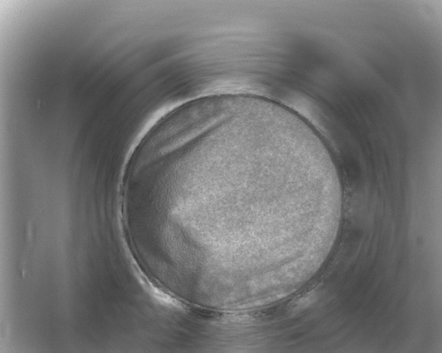 X0000066951094200604071932