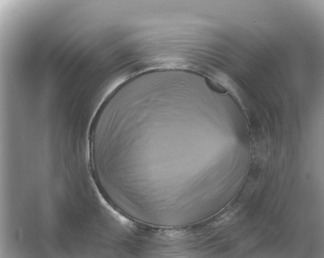 X0000066951095200604071932