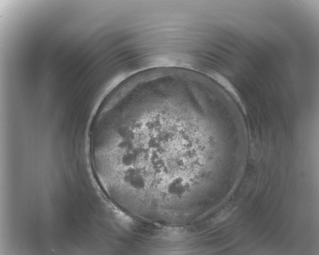 X0000066951096200604071932