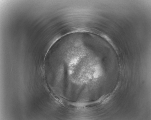 X0000066951097200604071932