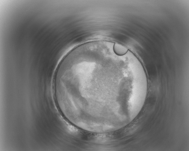 X0000066951098200604071932