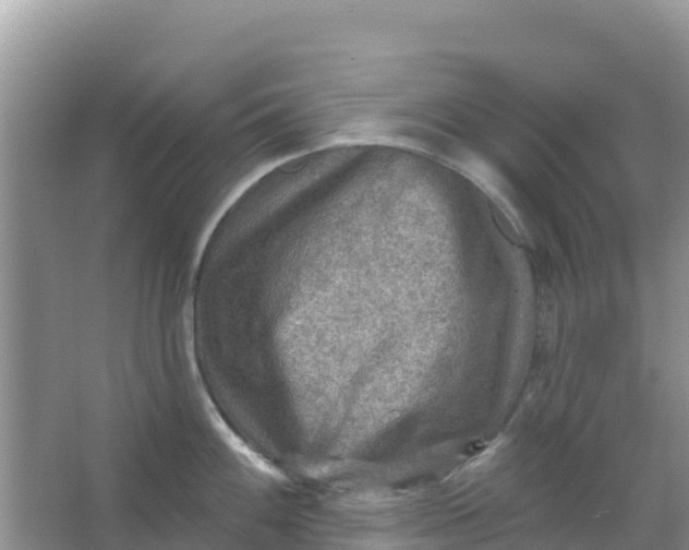 X0000066951100200604071932