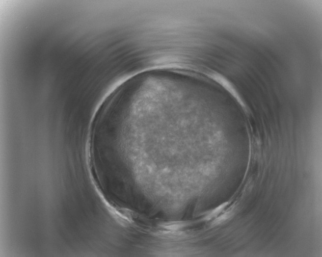 X0000066951101200604071932