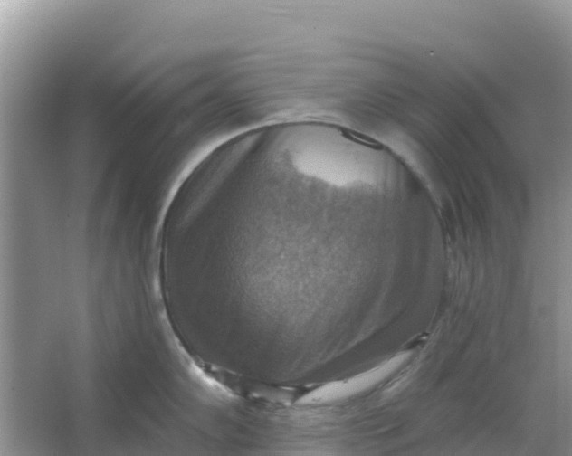 X0000066951102200604071932