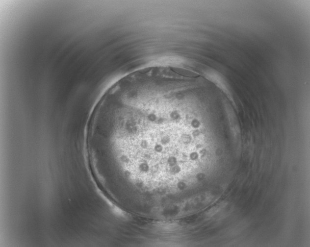 X0000066951103200604071932