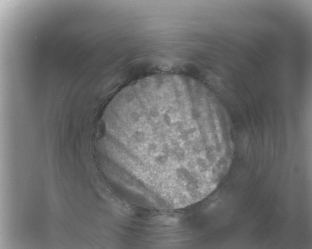 X0000066951105200604071931