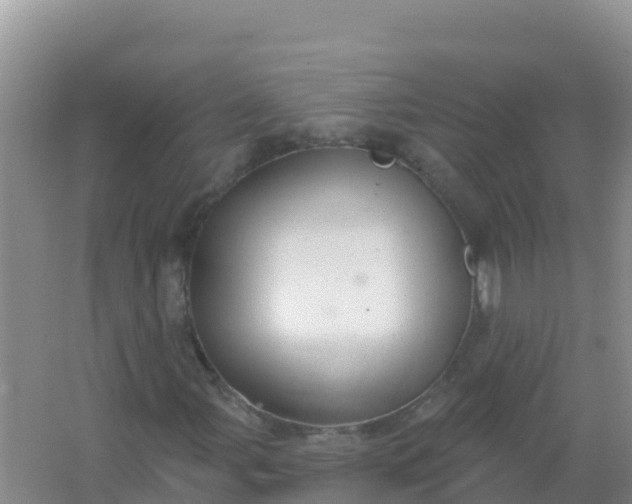 X0000066951107200604071931