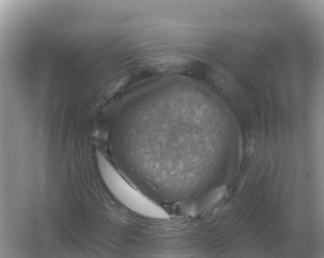 X0000066951108200604071931