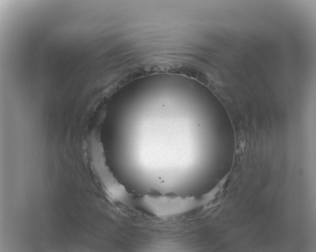 X0000066951109200604071931