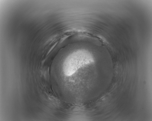 X0000066951110200604071931