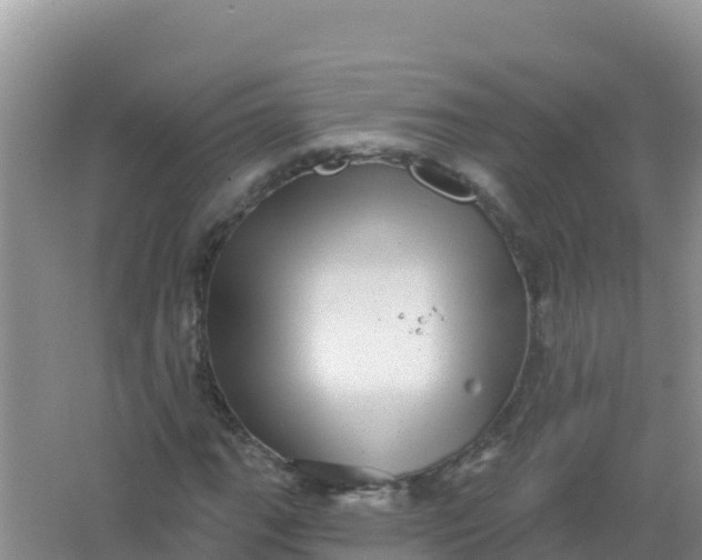 X0000066951111200604071931