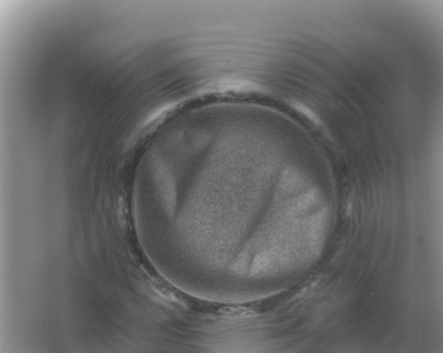 X0000066951112200604071931