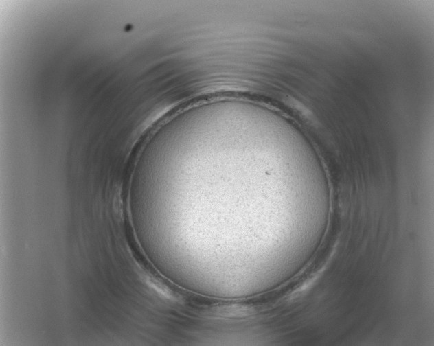 X0000066951113200604071931