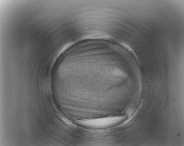 X0000066951114200604071931