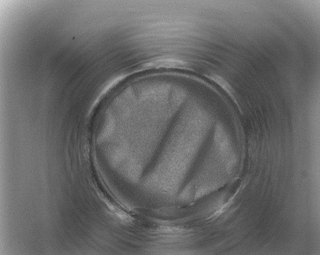 X0000066951115200604071931