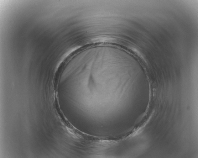 X0000066951117200604071931