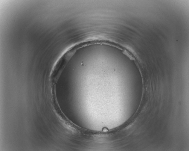 X0000066951118200604071931