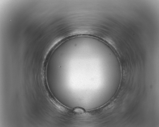 X0000066951119200604071931