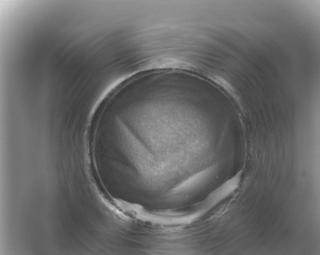 X0000066951120200604071931