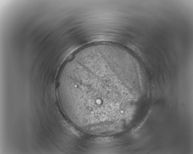 X0000066951121200604071931