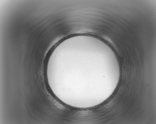 X0000066951122200604071931