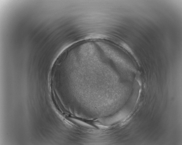 X0000066951124200604071931