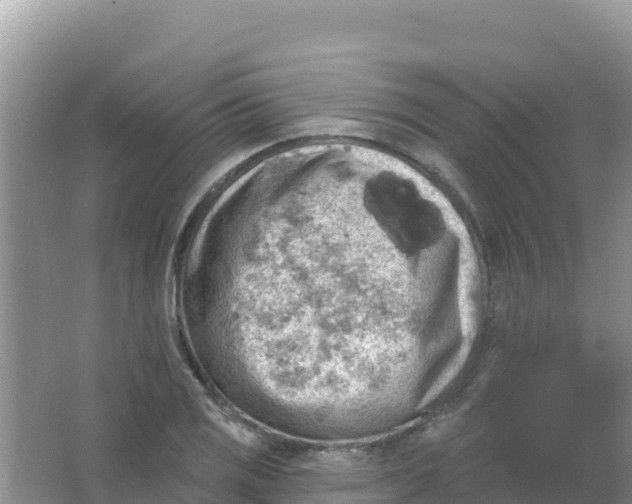 X0000066951125200604071931