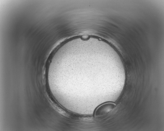 X0000066951126200604071931