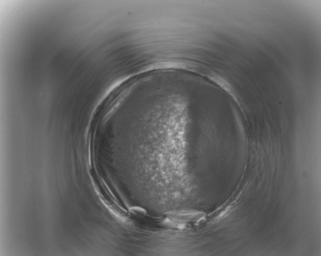 X0000066951127200604071931