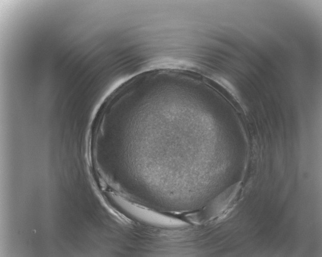 X0000066951128200604071931