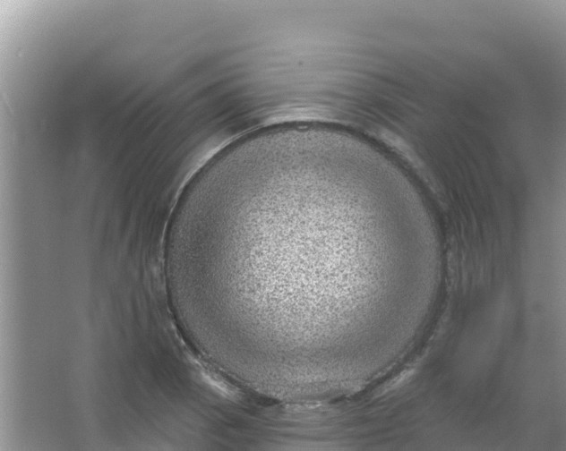 X0000066951129200604071931