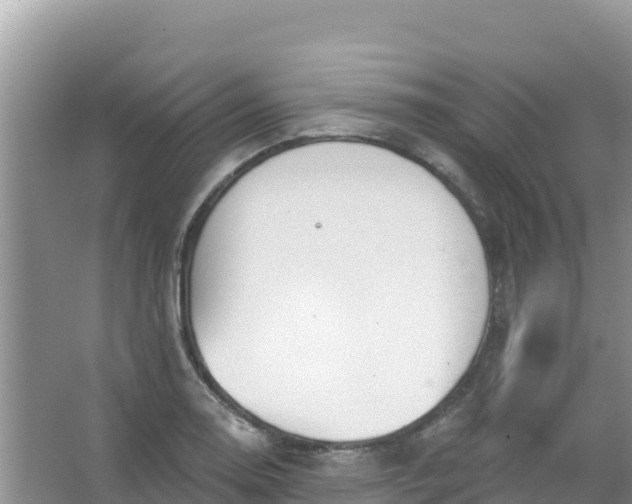 X0000066951130200604071931