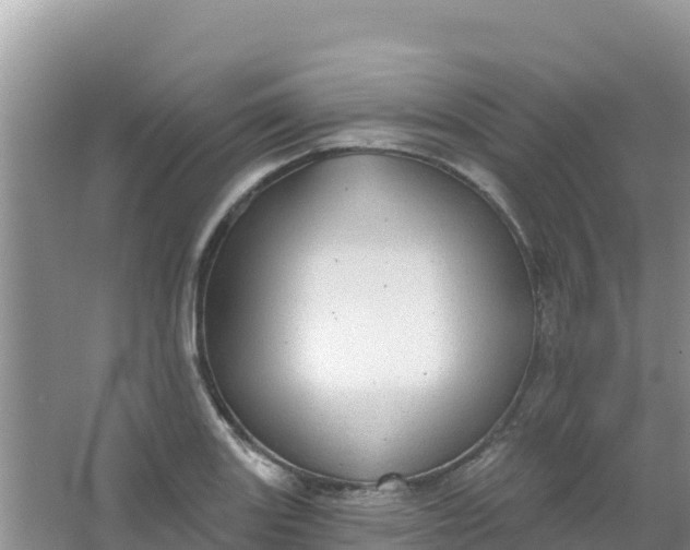 X0000066951131200604071931