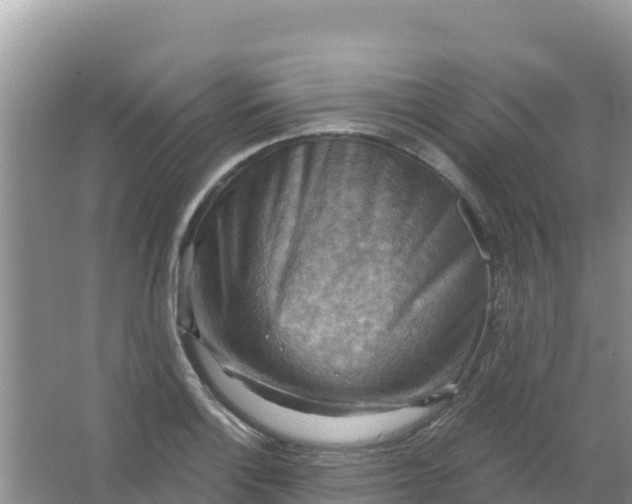 X0000066951132200604071931