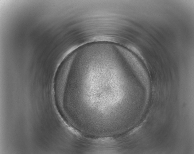 X0000066951133200604071931