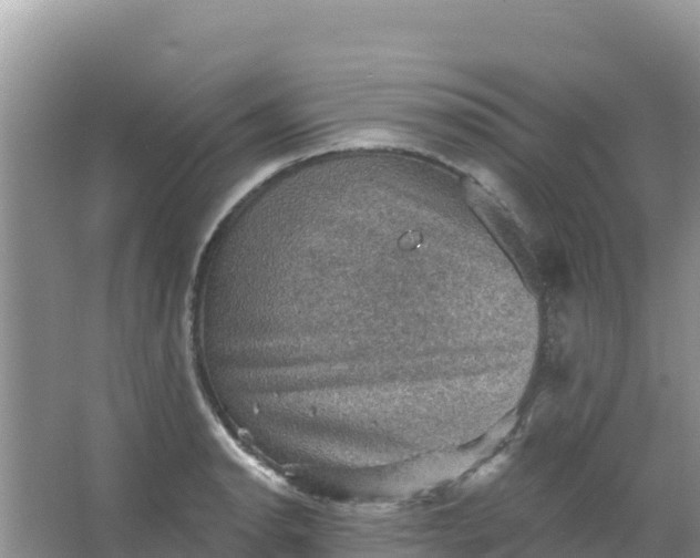 X0000066951134200604071931