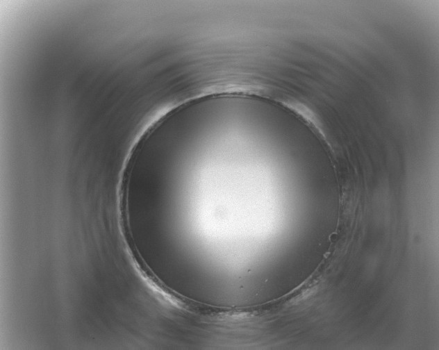 X0000066951135200604071931