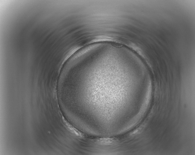 X0000066951137200604071931