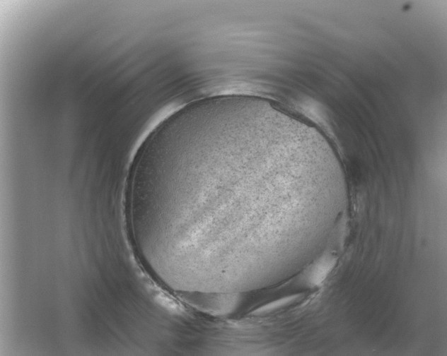 X0000066951138200604071931