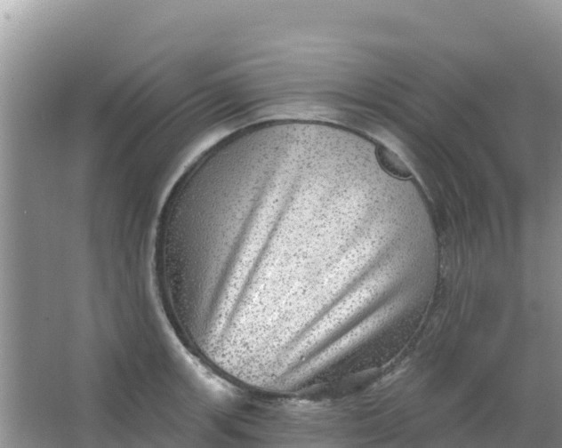 X0000066951139200604071931