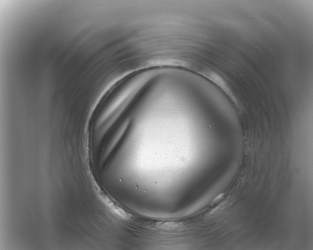 X0000066951140200604071931