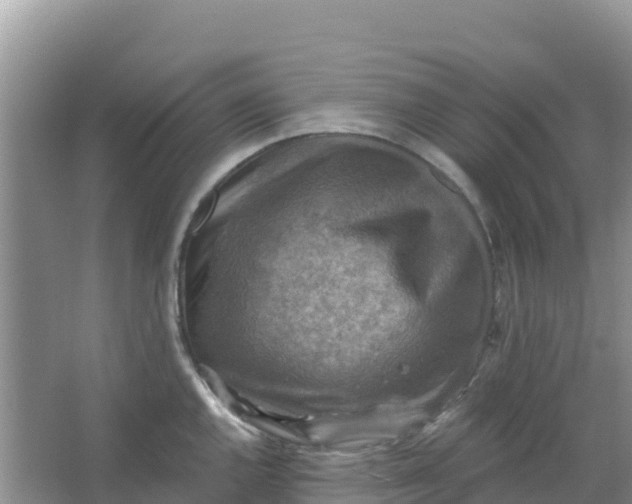 X0000066951144200604071932