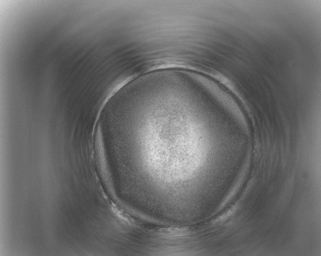 X0000066951145200604071932