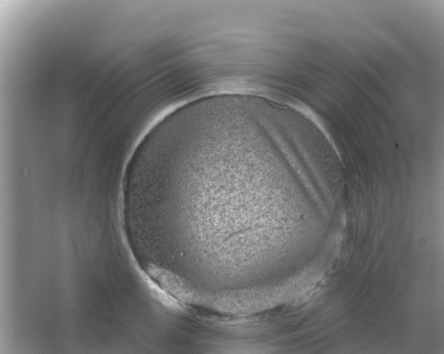 X0000066951147200604071932