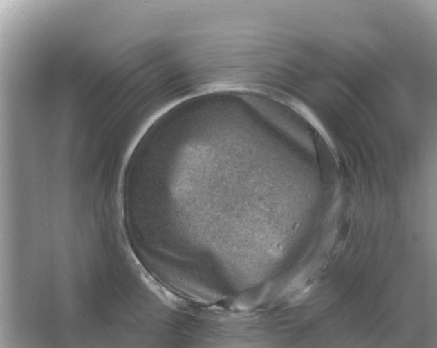 X0000066951148200604071932