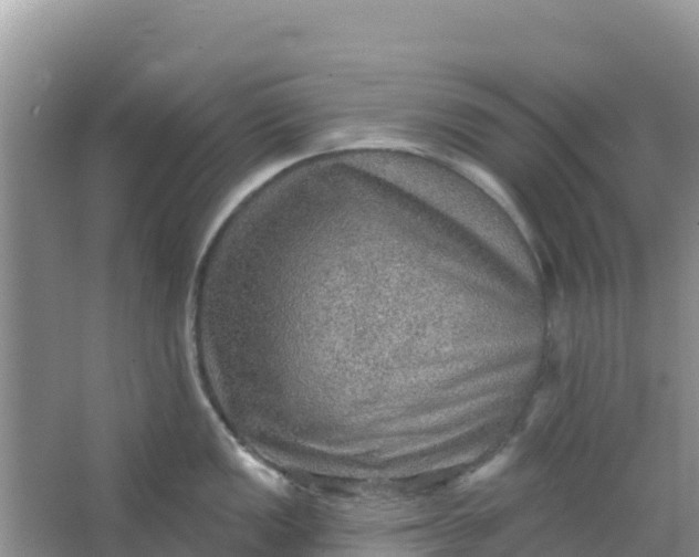 X0000066951149200604071932