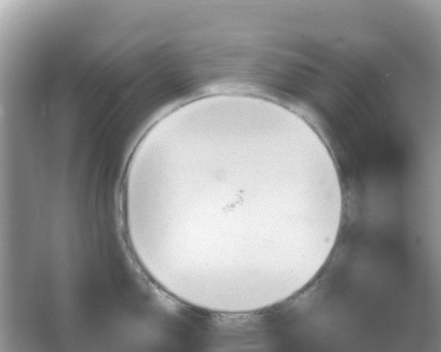 X0000066951150200604071932