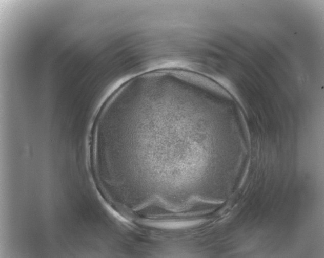 X0000066951151200604071932