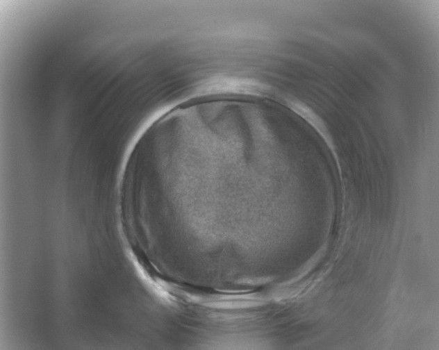 X0000066951152200604071932