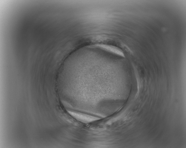 X0000066951153200604071931